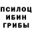 Галлюциногенные грибы мицелий Discord: Quanted#0014