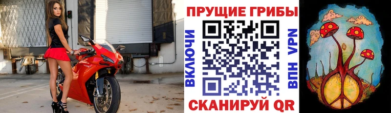 Псилоцибиновые грибы ЛСД блэк спрут вход Богородицк наркота