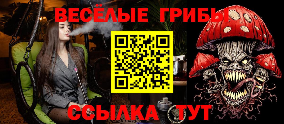 Галлюциногенные грибы GOLDEN TEACHER  Богородицк 